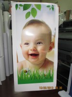 /album/trece-servicios-grafico/img-1972-jpg/